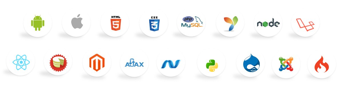 Software Development